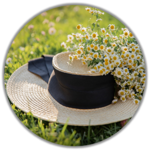 Everyday Living, straw hat with daisies